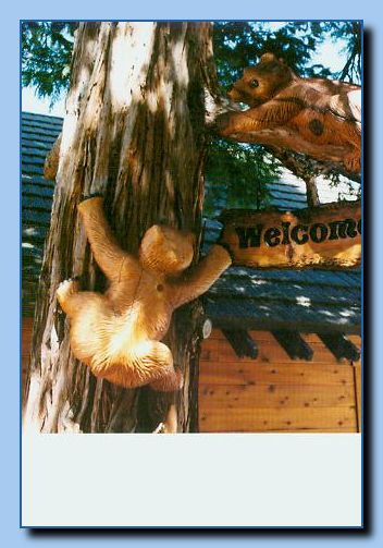 2-74 bear sign-archive